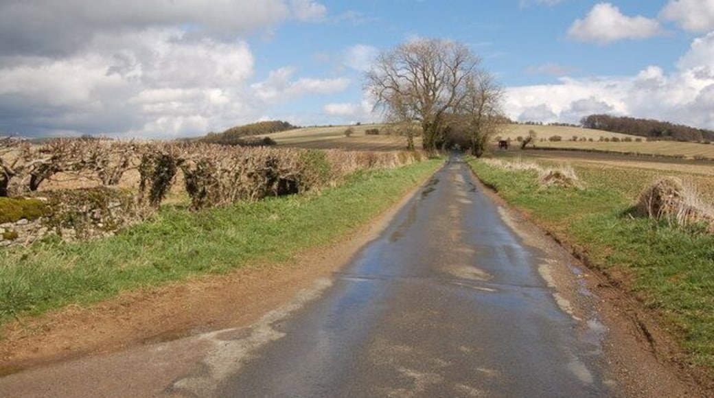 Cotswold lane near Charlton Abbots View looks eastwards as this unclassified road climbs upwards towards Roel Gate.