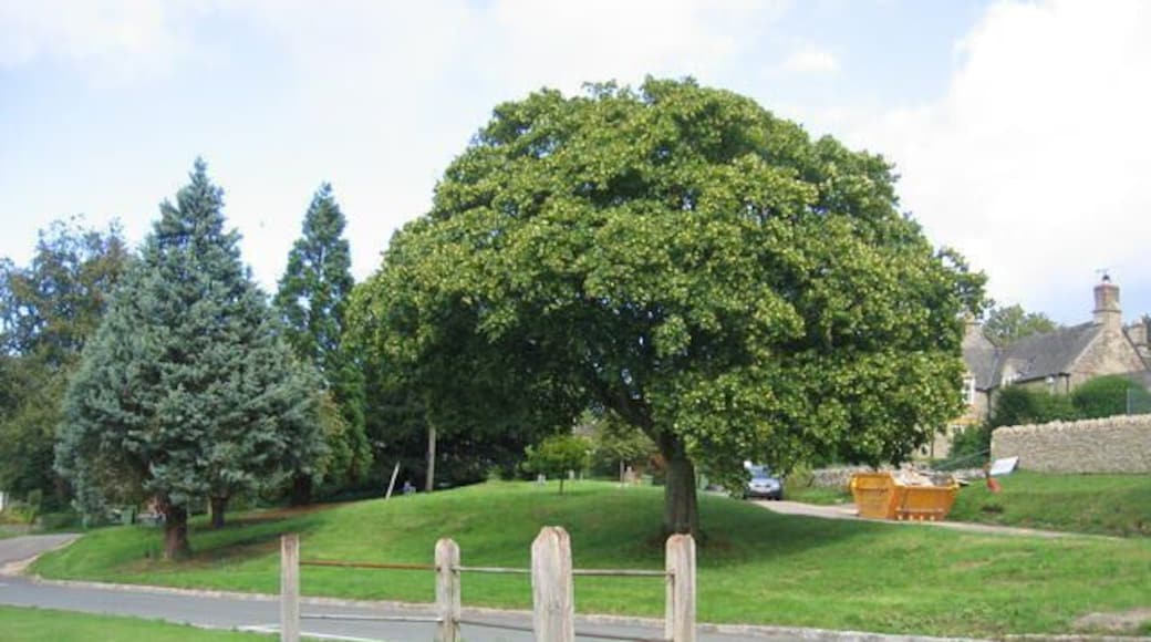 Great Rissington Village Green. Complete with the spreading chestnut, but bisected by a local lane.