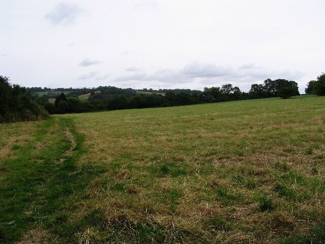 Field and hills from Little Herberts, Charlton Kings. Ravensgate Hill is behind the line of trees in the middle distance and the line of the disused Cheltenham to Banbury and Cirencester railway runs just behind the gap in the trees at the right hand side of the picture.