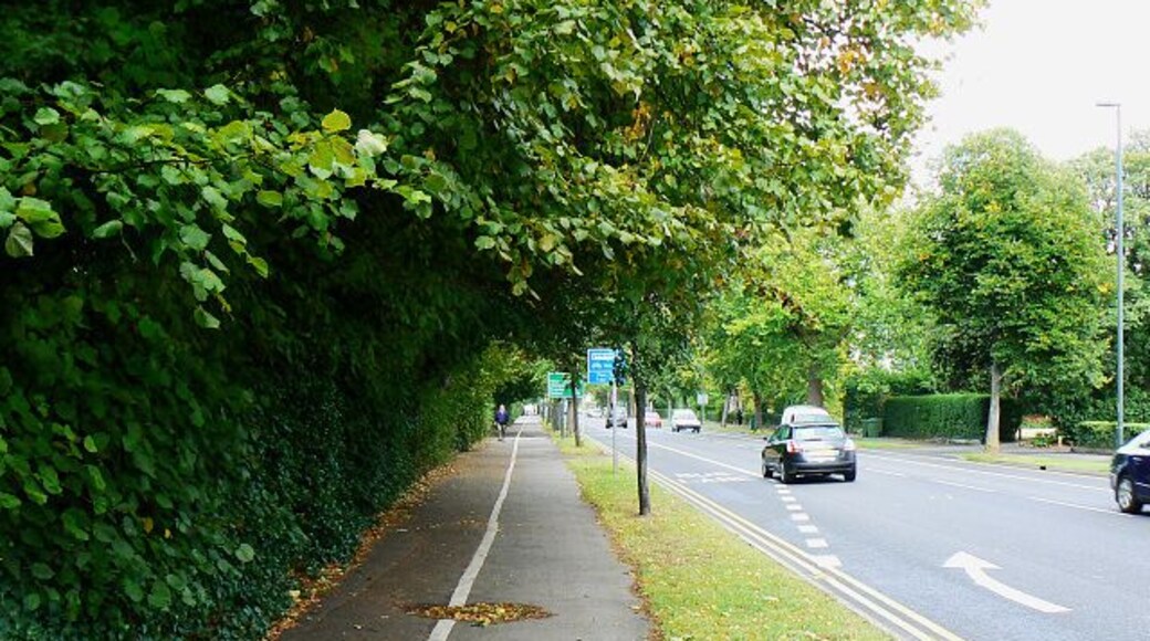 Lansdown Road to the east, Cheltenham The view is towards the town centre and shows the dedicated pedestrian, cycle and bus lanes.