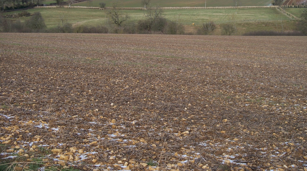 Farmland and lost village This view is looking over the ploughed field and across the valley from the track. The ploughed field appears to be growing a good crop of stones. The first field beyond the trees which mark the course of the stream is the site of a lost medieval village.