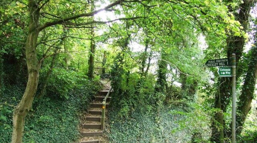 The Cotswold Way on Greenway Lane