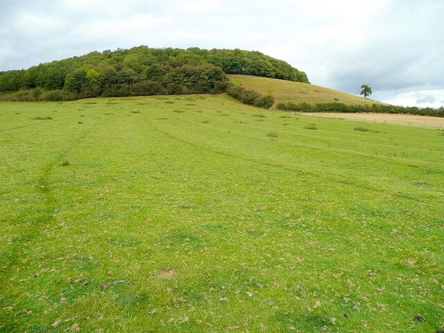 On the Wychavon Way 4 The wooded prominence is Horse Bank, part of the Alderton/Dumbleton Hill outlier of the Cotswolds.