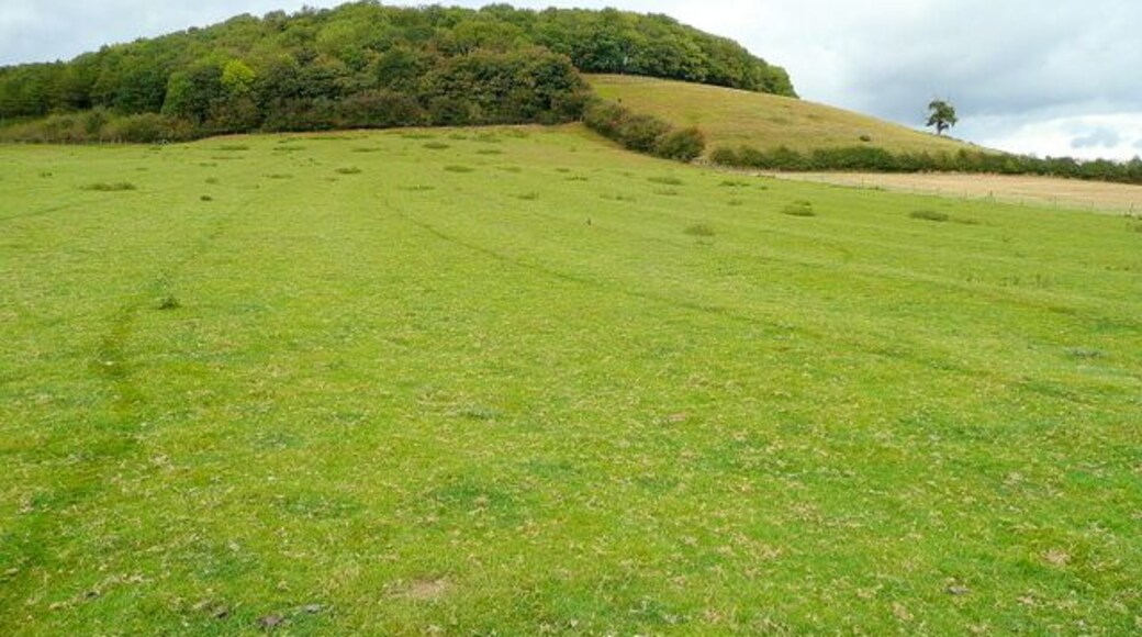 On the Wychavon Way 4 The wooded prominence is Horse Bank, part of the Alderton/Dumbleton Hill outlier of the Cotswolds.