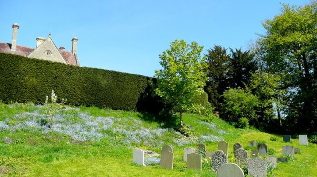 St. Martin's church, Woolstone - churchyard A fine spring display of Forget-me-not, Myosotis sp.