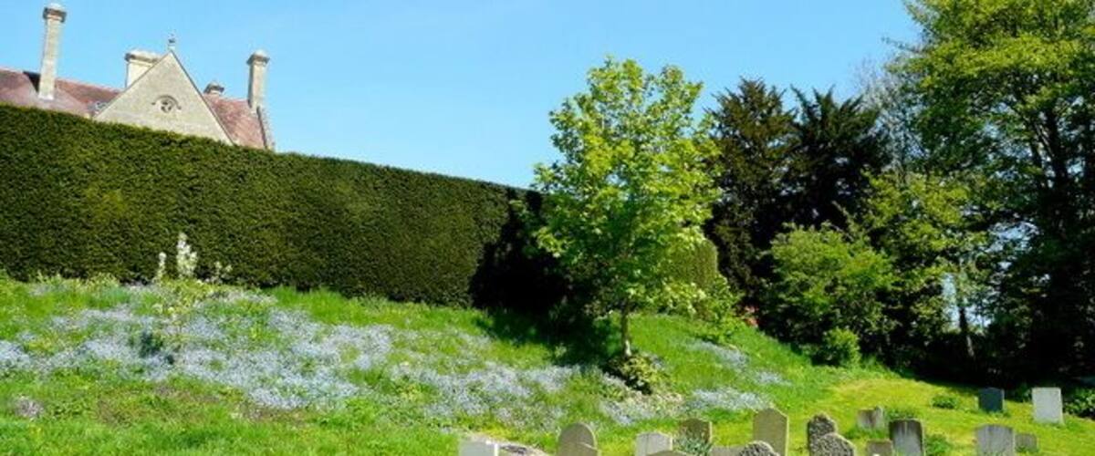 A cemetery with headstones, a hedge, and a building in the background.