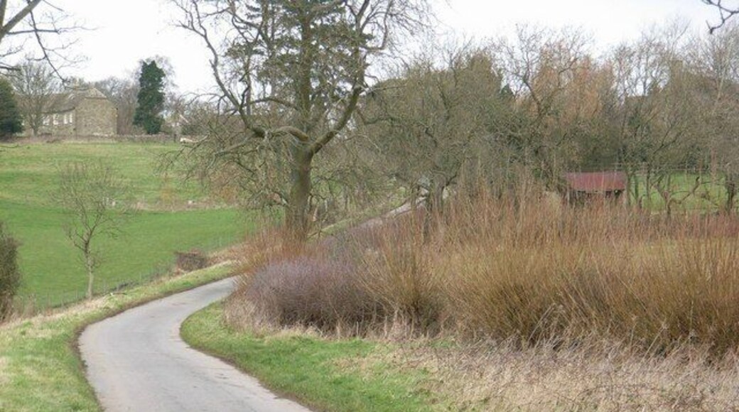 Looking up the lane From the direction of Oxleaze Farm towards Maugersbury. The cottage visible is Half Moon Cottage- an unusual semi-circular shape.