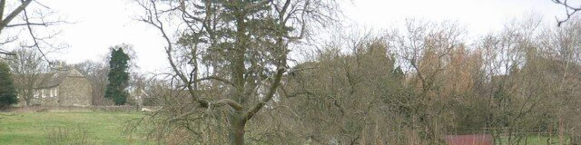 Looking up the lane From the direction of Oxleaze Farm towards Maugersbury. The cottage visible is Half Moon Cottage- an unusual semi-circular shape.
