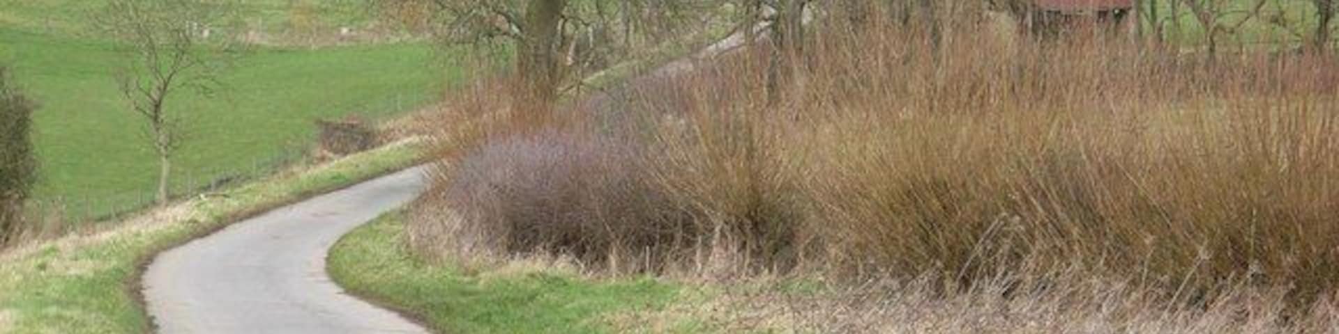 Looking up the lane From the direction of Oxleaze Farm towards Maugersbury. The cottage visible is Half Moon Cottage- an unusual semi-circular shape.