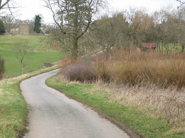 A narrow rural road curving through a field with sparse trees and a distant building.