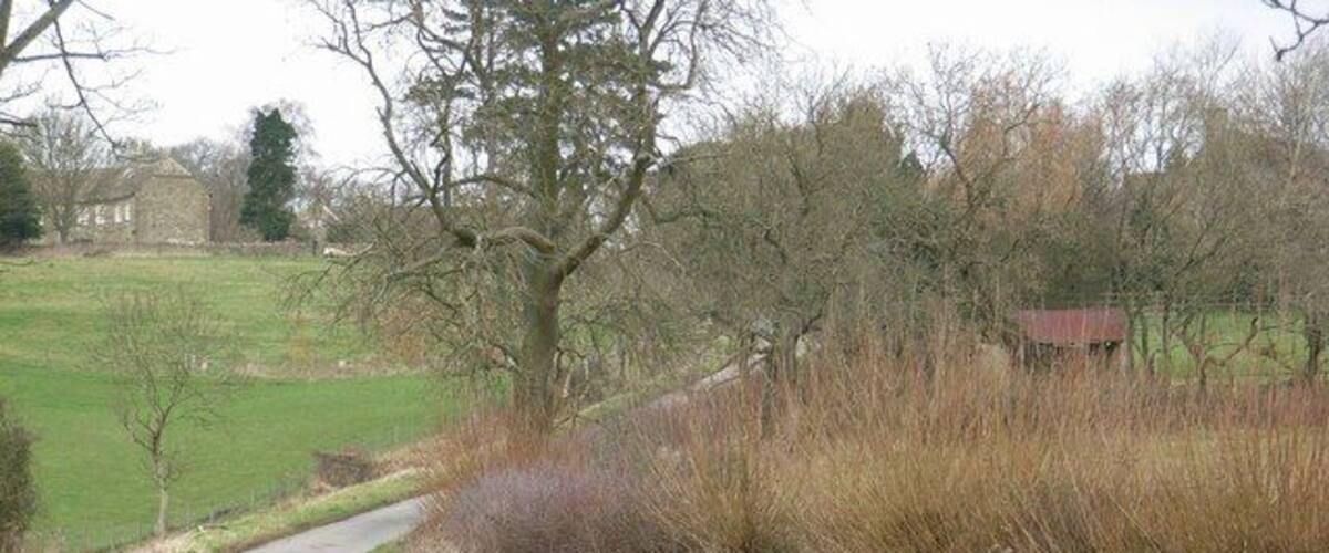 A narrow rural road curving through a field with sparse trees and a distant building.