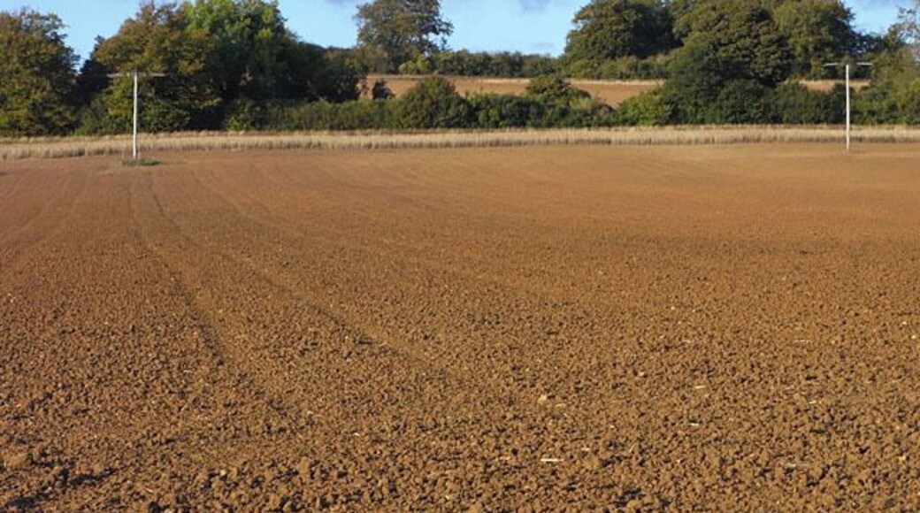 Ploughed field, Whittington On a gentle hillside between Syreford and Whittington.