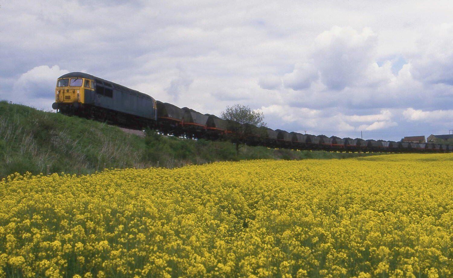 56006 , Oxcroft Colliery Junction