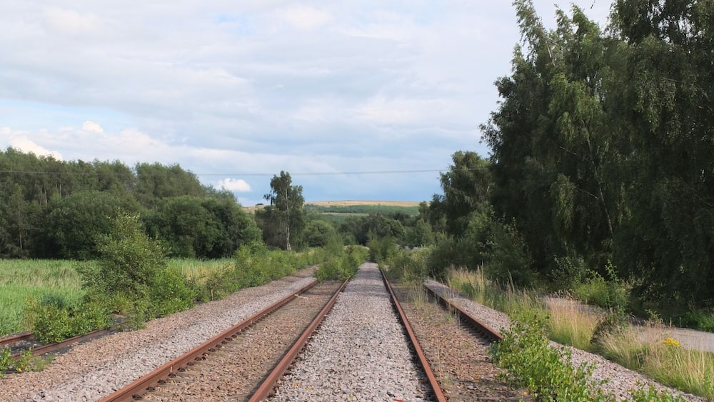 Railway tracks surrounded by greenery and trees.