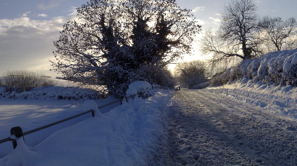 low road looking towards stanfree,nov 2010.