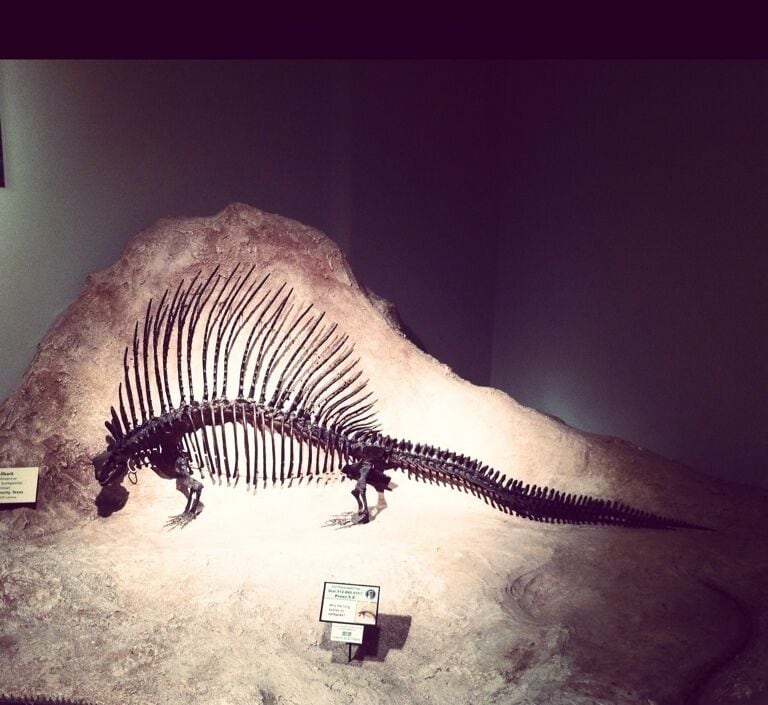 Texas Natural Science Center