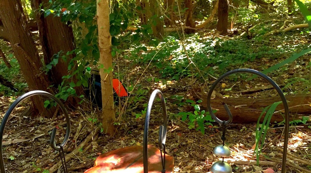 Lucky Dragons are doing a live sound installation on the trails around Laguna Gloria at 2 PM today.