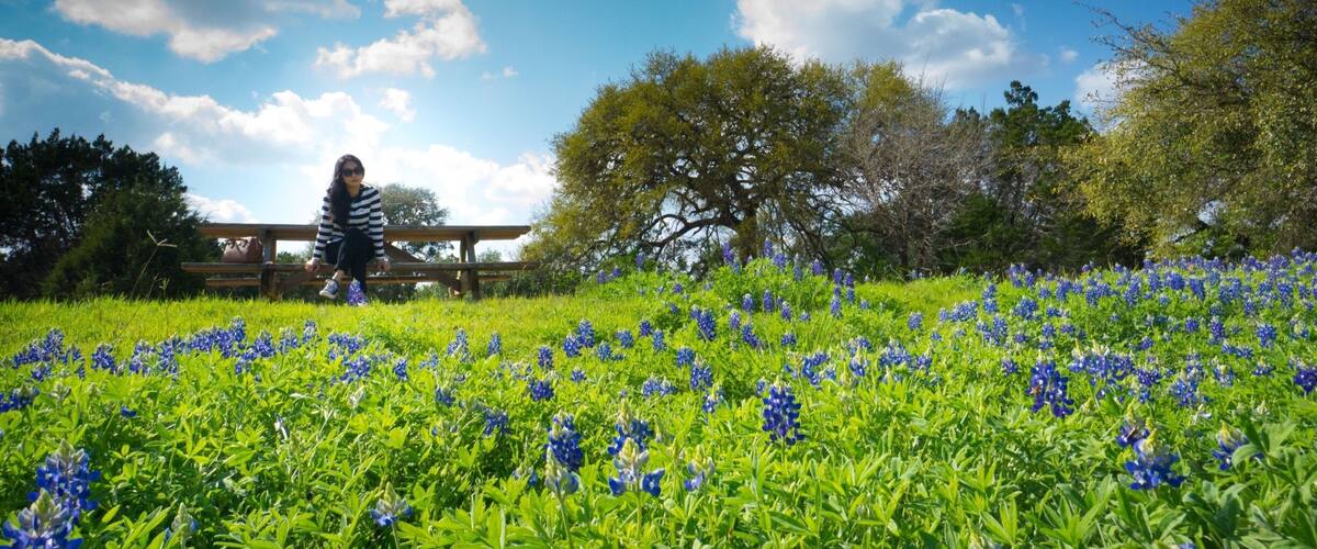 Some blue bonnets we saw while strolling around. The place is beautiful where you can relax and get away from the city.