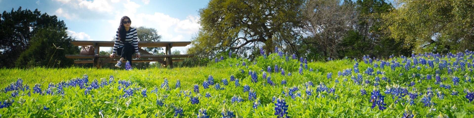 Some blue bonnets we saw while strolling around. The place is beautiful where you can relax and get away from the city.