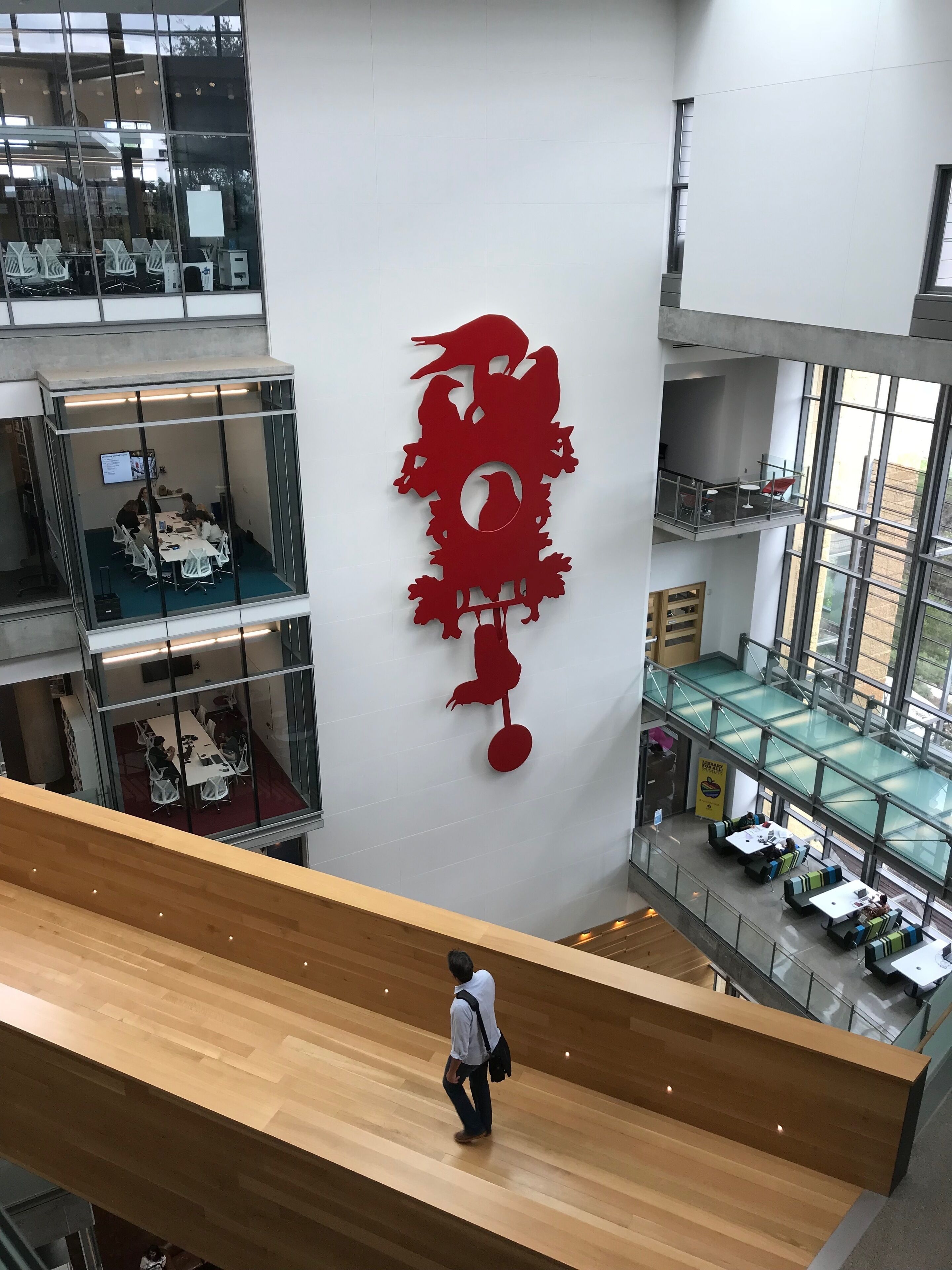 Austin’s library is pretty cool. Go to the top and you get two views: this one (inside) and one of all downtown Austin from their rooftop garden 