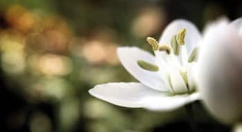 Like I said before, if you go to Mayfield once a month you will always get something different! This past weekend