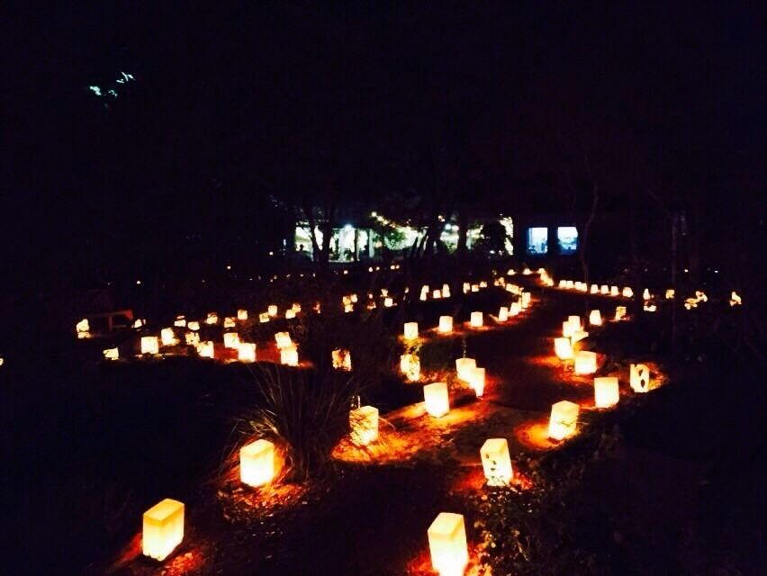 In the spirit of the holidays, the LBJ wildflower center hosts an event called Luminations where they line their gardens with hundreds of lights & open it up to the public to explore at night. ✨