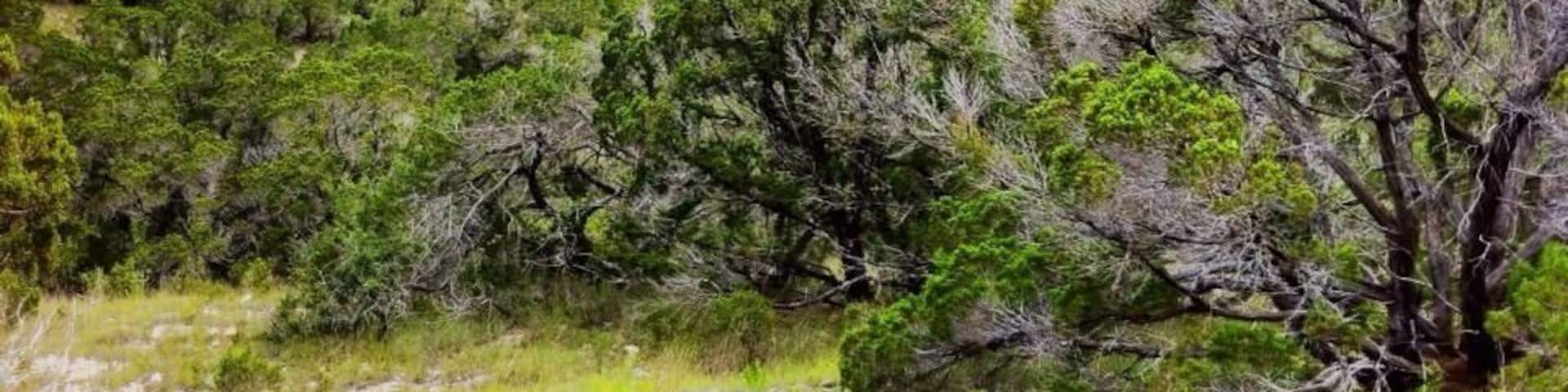 I got to this spot by hiking in the Warbler Vista area of the Canyonlands. The hike was well worth the view. I was speechless! If you keep driving past the trail head to the very top, there is even a lookout deck with ridiculously gorgeous views of the hill country.