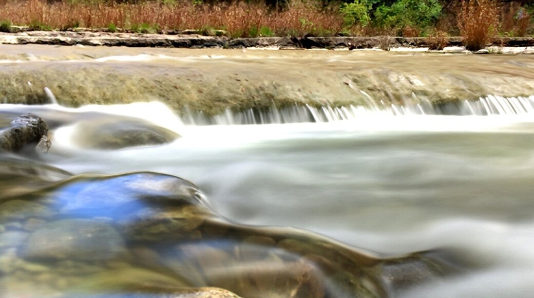 Bull Creek Park is a great place to hike in Austin. There are trails, a volleyball court, and of course the beautiful creek itself.