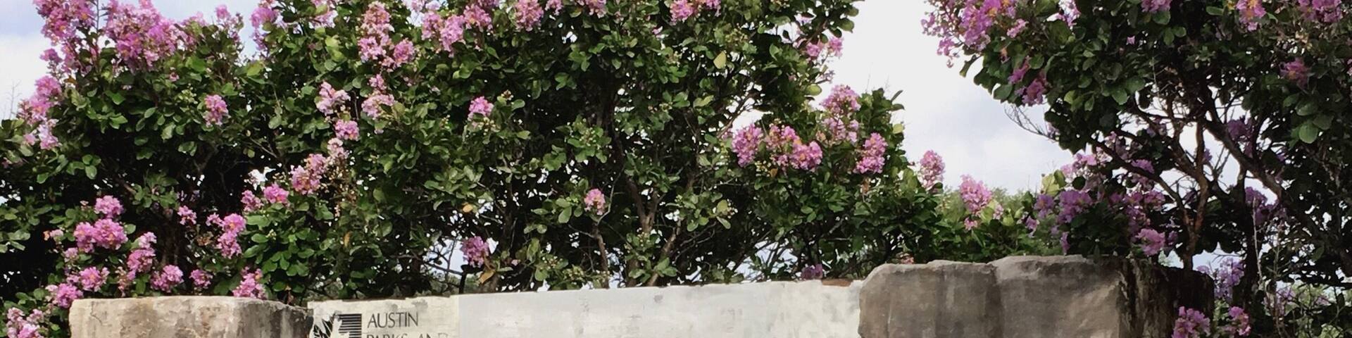 Allandale, Brentwood, and Crestview make up a very popular section of Central Austin known for urban/suburban wonderful lifestyle. Northwest Park is a great example, built in the middle of a residential neighborhood, the park presents as the private pool, tennis court, and playground for 100's of homes!