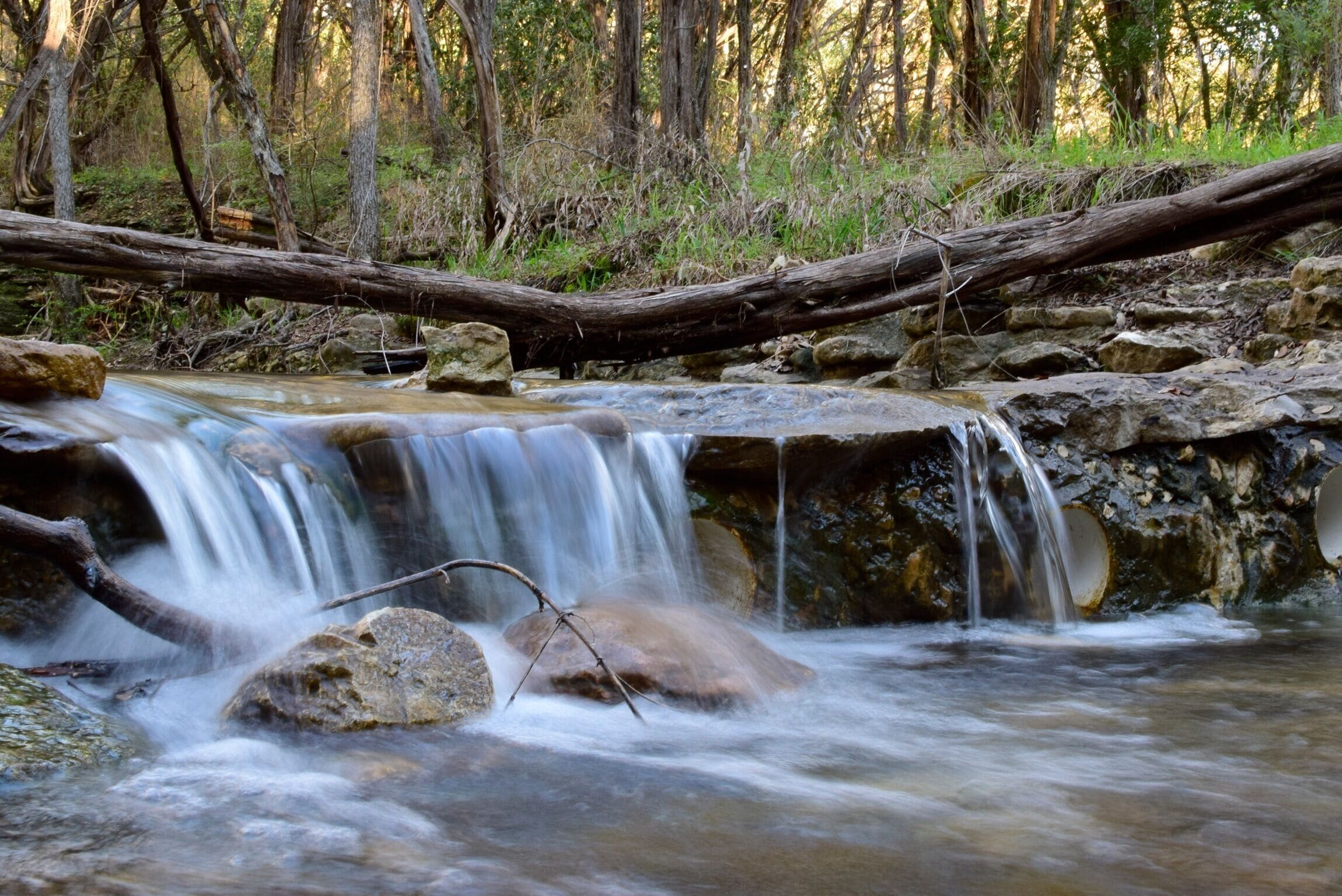 A truly undiscovered gem near central Austin. Quiet and pristine nature reserve with peacocks! Short walking trails that allow you to get away from city life and get rejuvenated. You can't help but admire nature's tranquility and let a little of it rub off on you. 