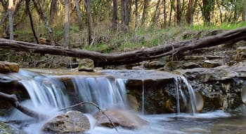 A truly undiscovered gem near central Austin. Quiet and pristine nature reserve with peacocks! Short walking trails that allow you to get away from city life and get rejuvenated. You can't help but admire nature's tranquility and let a little of it rub off on you.