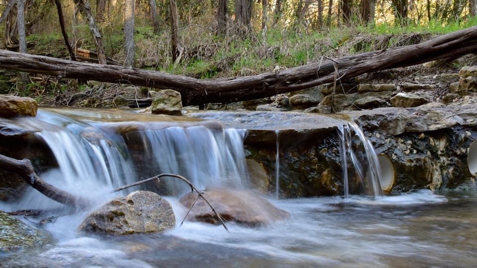 A truly undiscovered gem near central Austin. Quiet and pristine nature reserve with peacocks! Short walking trails that allow you to get away from city life and get rejuvenated. You can't help but admire nature's tranquility and let a little of it rub off on you.