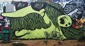 Austin artist BRiKS put this giant piece up.