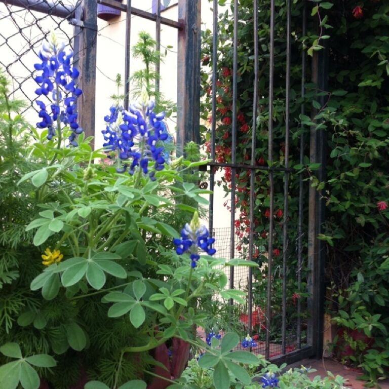 イーストシックスストリート