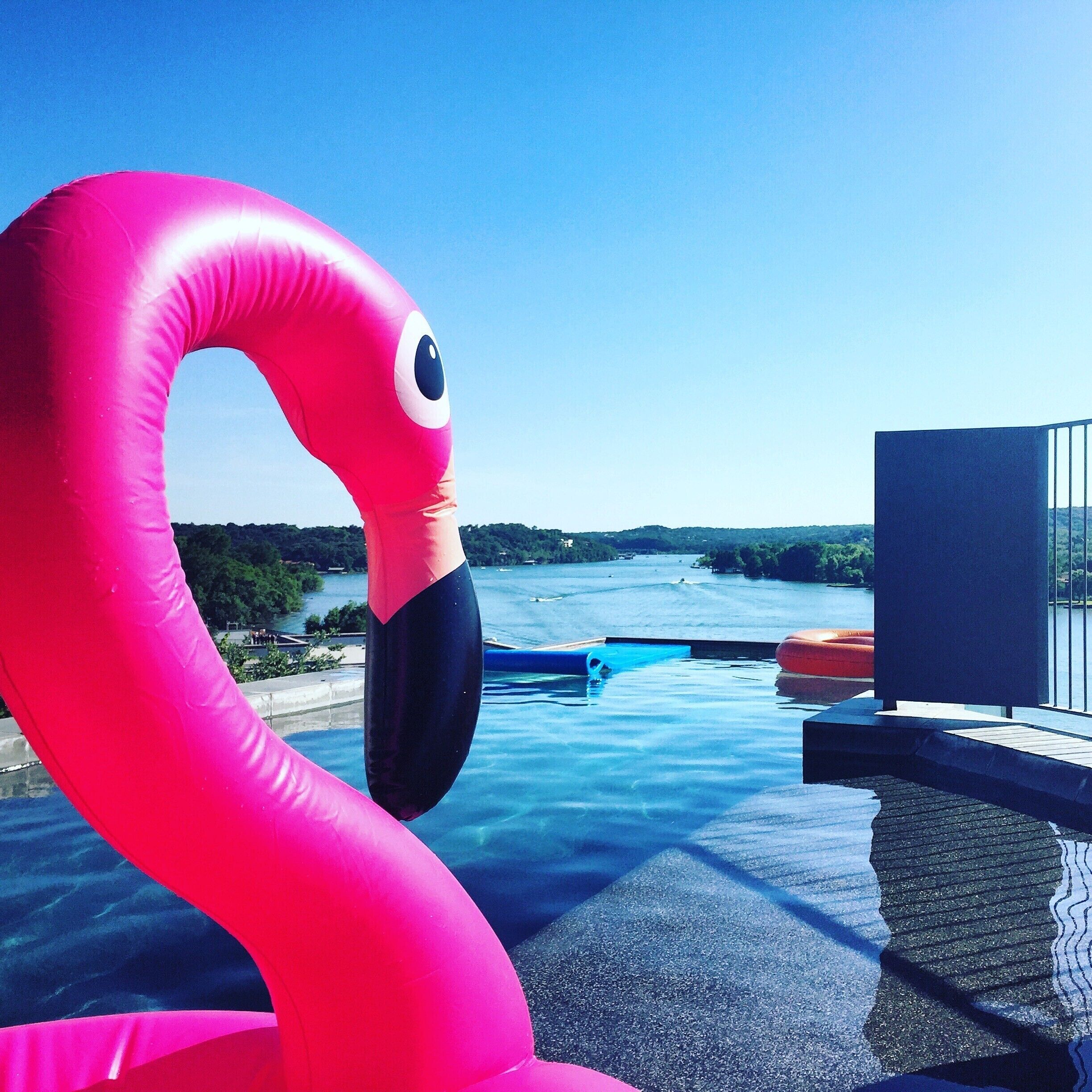 This flamingo is enjoying its view from a home on a cliff overlooking Lake Austin! #LakeAustin #LifeAtExpedia