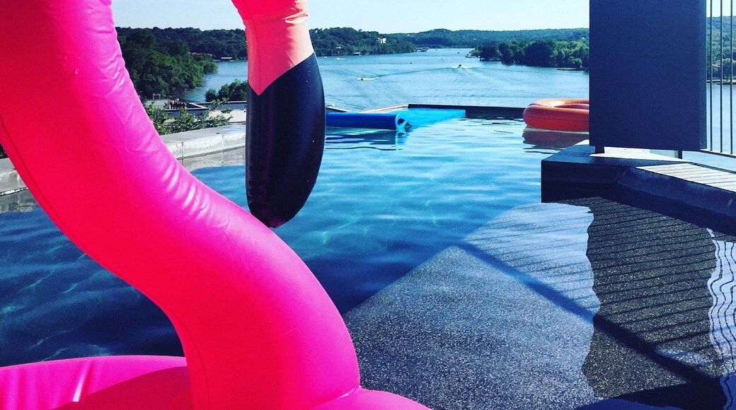 This flamingo is enjoying its view from a home on a cliff overlooking Lake Austin! #LakeAustin #LifeAtExpedia