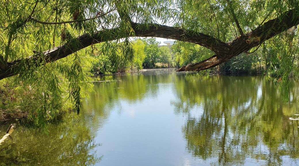 Tucked away in north Austin are quiet ponds and large quarry lake.
#LifeAtExpedia