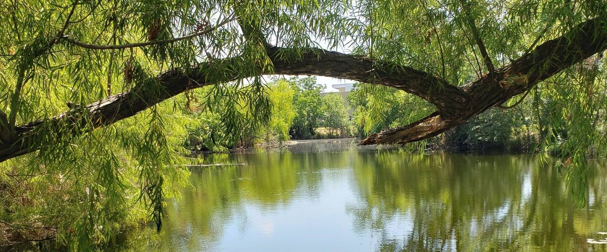 Tucked away in north Austin are quiet ponds and large quarry lake.
#LifeAtExpedia