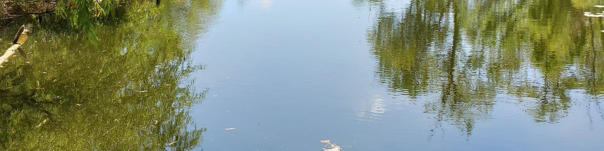Tucked away in north Austin are quiet ponds and large quarry lake.
#LifeAtExpedia