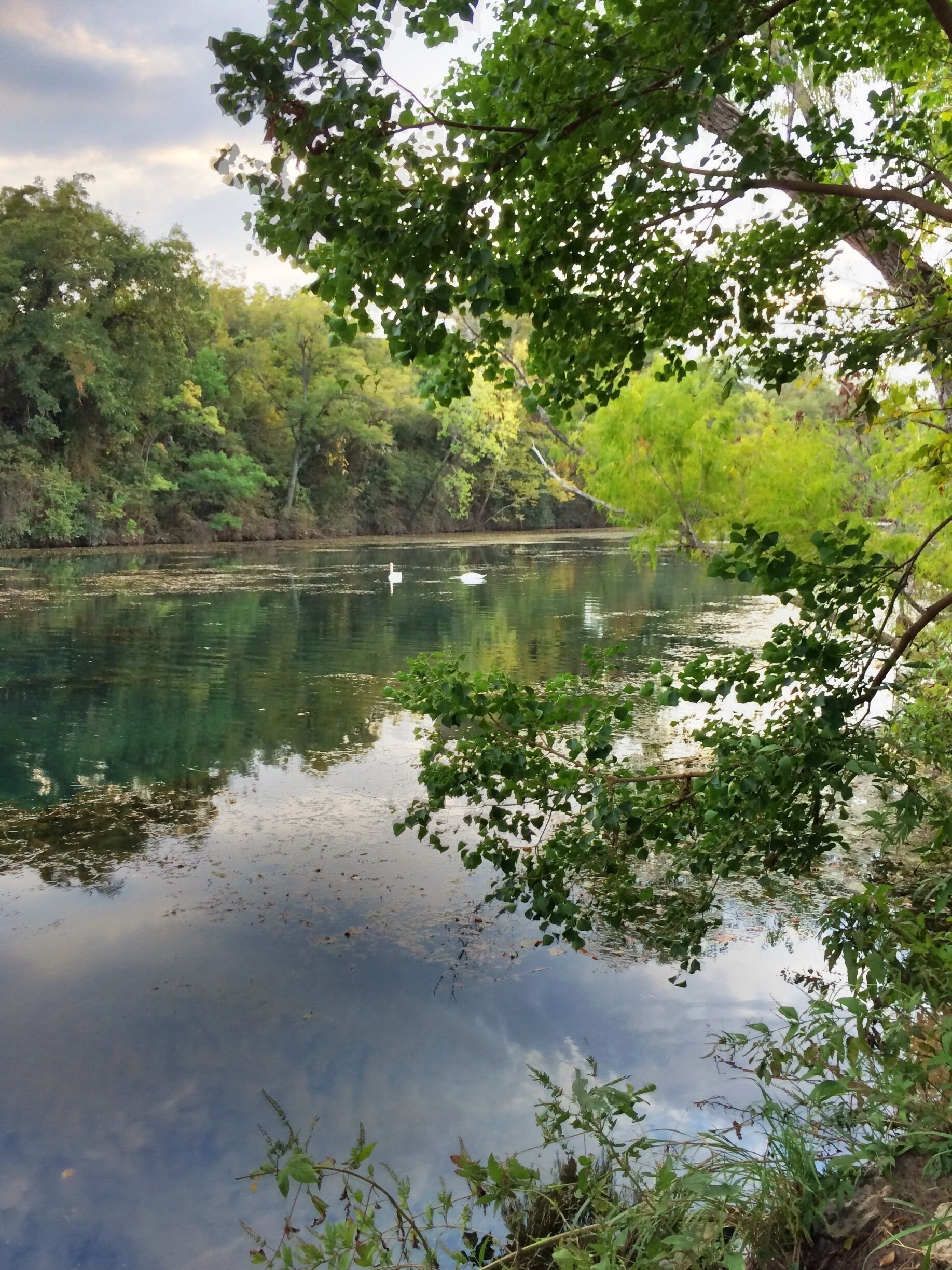 

Lady Bird Lake is named in honor of Lady Bird Johnson, the late former First Lady of the United States and a long-time resident of the Austin area. It provides a tremendous recreational resource for Austin, the state’s capitol, including hike and bike trails surrounding the shoreline as well as paddling, rowing, and fishing in the lake.
