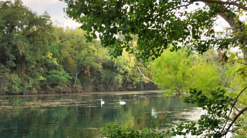 Lady Bird Lake is named in honor of Lady Bird Johnson, the late former First Lady of the United States and a long-time resident of the Austin area. It provides a tremendous recreational resource for Austin, the state’s capitol, including hike and bike trails surrounding the shoreline as well as paddling, rowing, and fishing in the lake.
