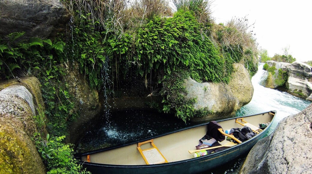 #springfun
#canoeing
#adventure
#texas
#nature
#water