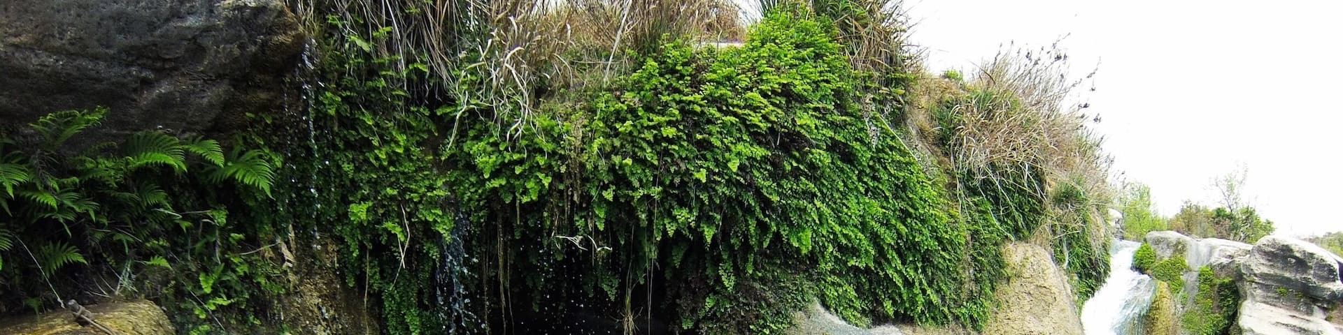 #springfun
#canoeing
#adventure
#texas
#nature
#water