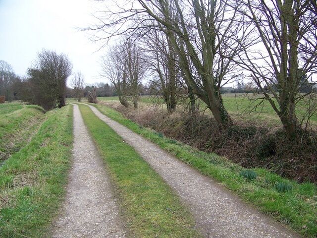 A gravel path flanked by trees and grass in a rural setting.
