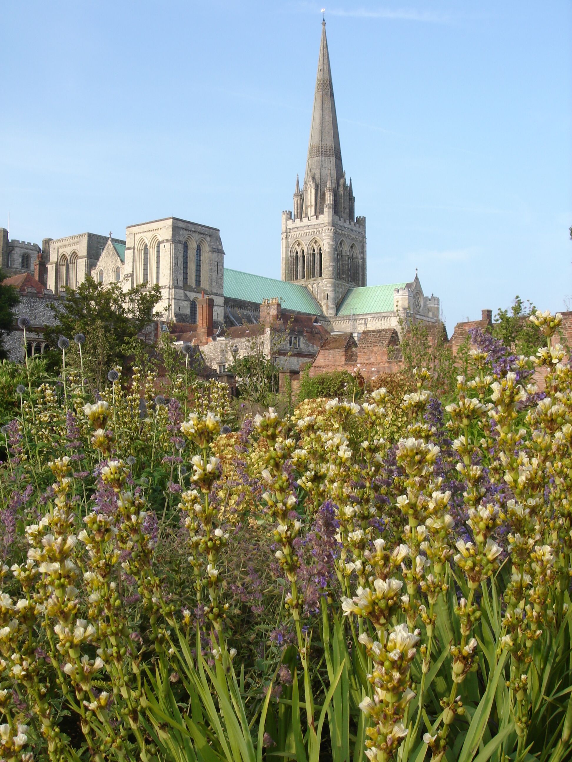A historic church with a tall spire and a field of wildflowers in the foreground.