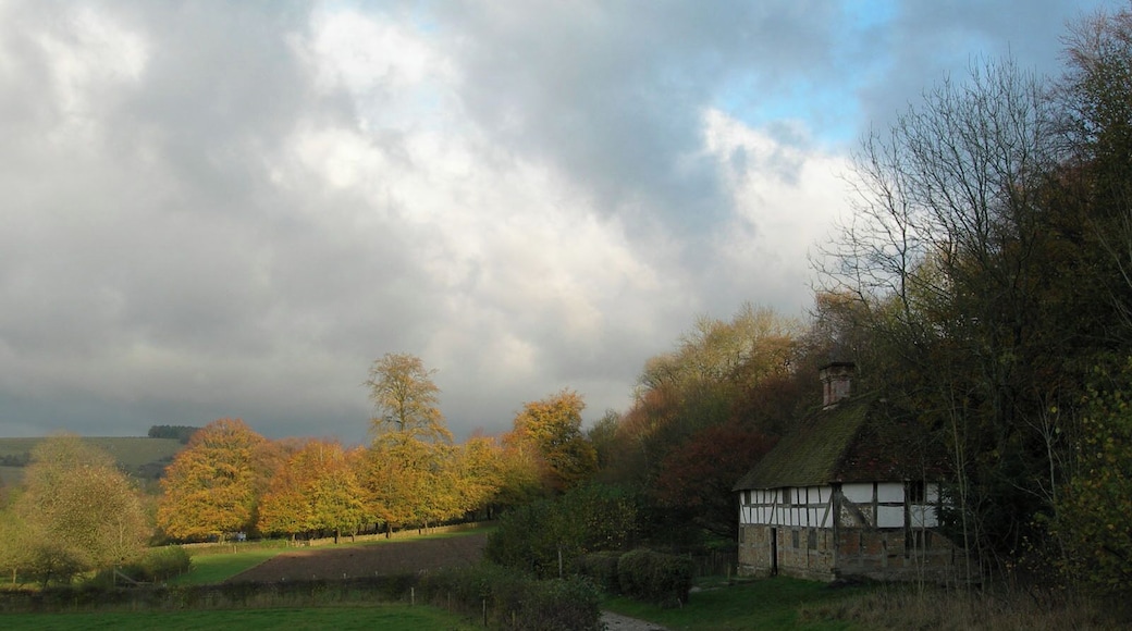 Weald and Downland - Low Sun and Half Timbered