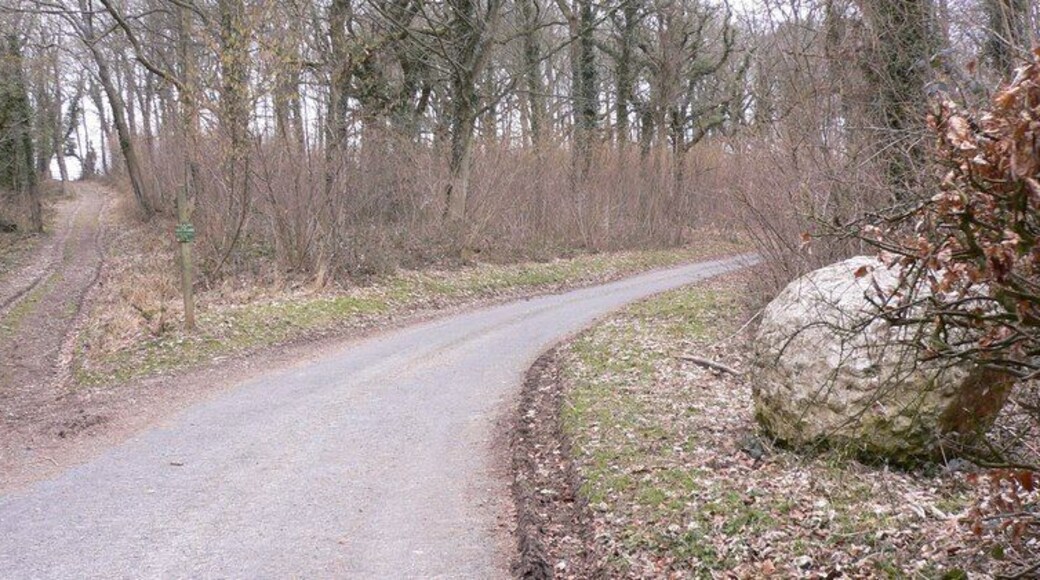 Chalk ball by footpath junction on the Chalk Stones Trail This is the sixth chalk ball I found on the Chalk Stones Trail. The way forward on the trail leaves the lane and goes ahead up the footpath. For Trail information see http://www.vic.org.uk/pro/pdfs/chalks%20stones.pdf .