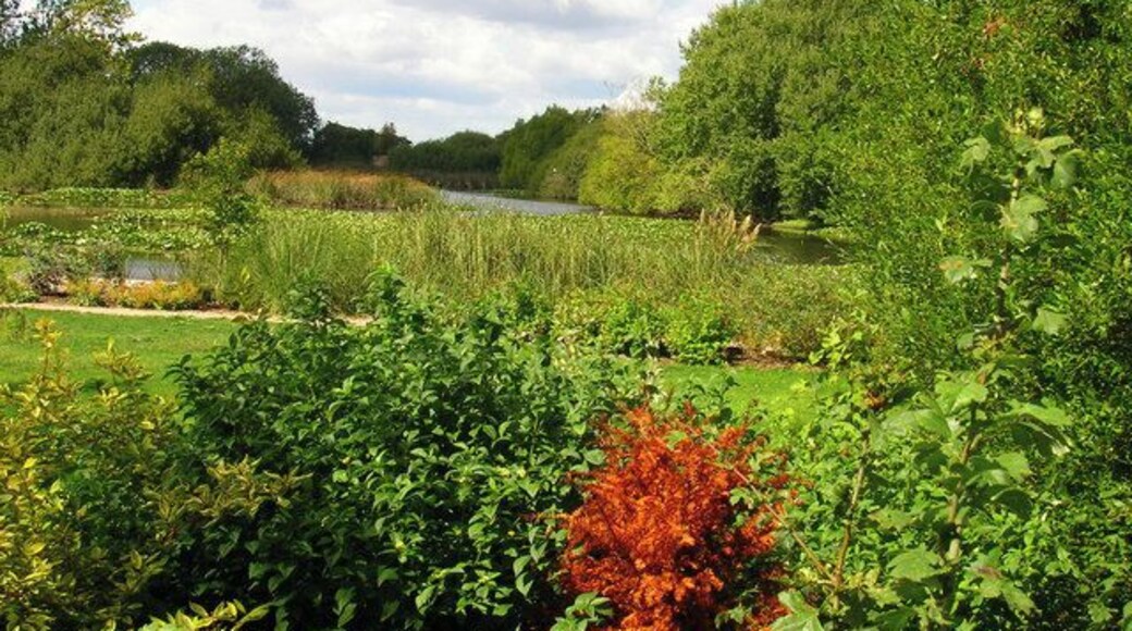 Chidmere Pond. Part of a private garden and therefore taken blind at arms reach!