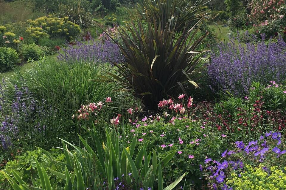 Un jardín exuberante con una variedad de plantas florecientes, incluidas flores moradas y rosadas, y una planta de agave destacada en el centro.