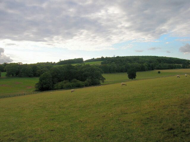 Goodwood Park. Taken from New Barn Hill. This part of the park is to the north east of Goodwood House.